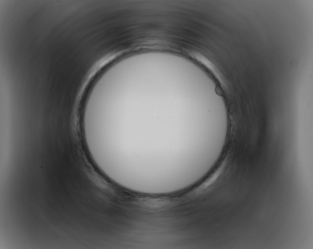 X0000088201074200705221718