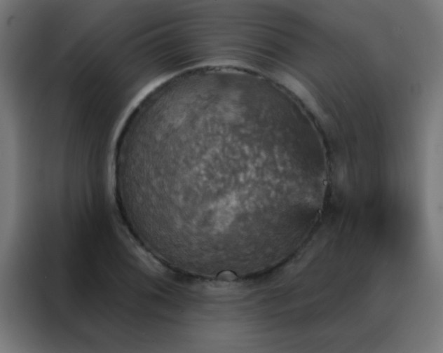 X0000088201076200705221718