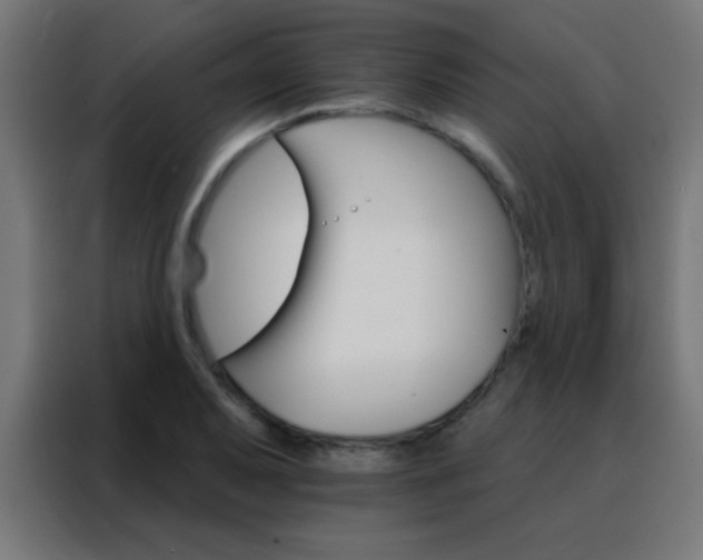 X0000088201079200705221718