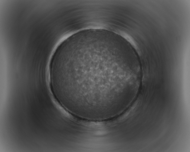 X0000088201080200705221718