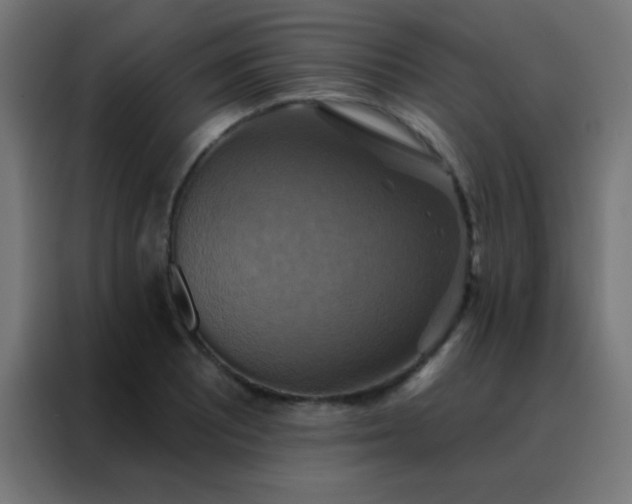 X0000088201081200705221718