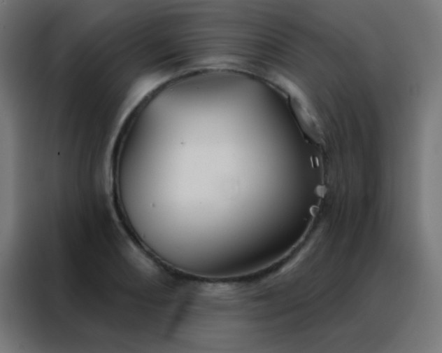 X0000088201082200705221718