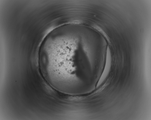 X0000088201083200705221718