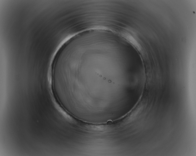 X0000088201084200705221718