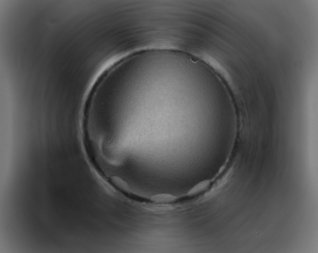 X0000088201085200705221718