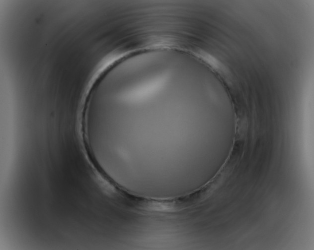 X0000088201086200705221718