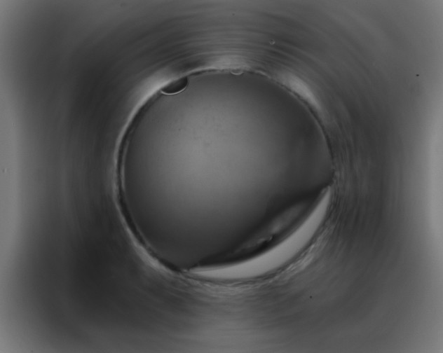 X0000088201087200705221718