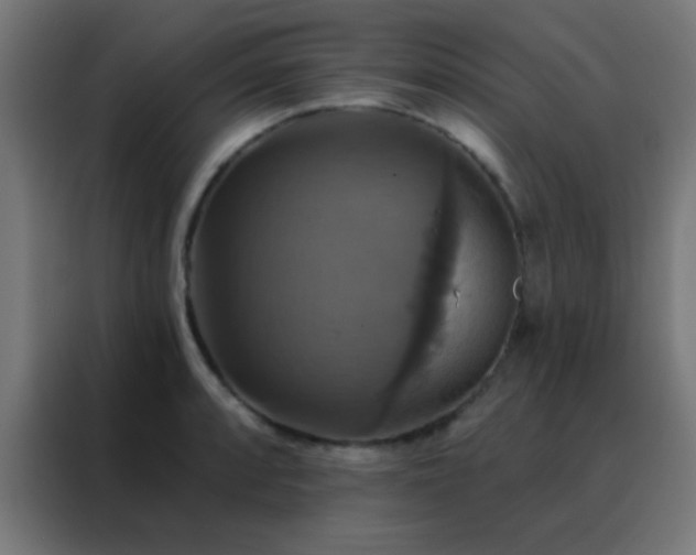 X0000088201088200705221718