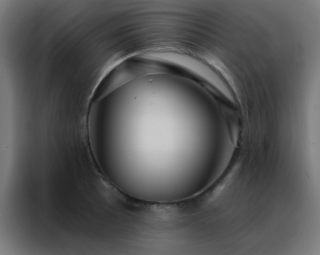 X0000088201089200705221718
