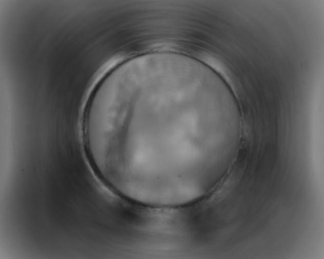 X0000088201090200705221718