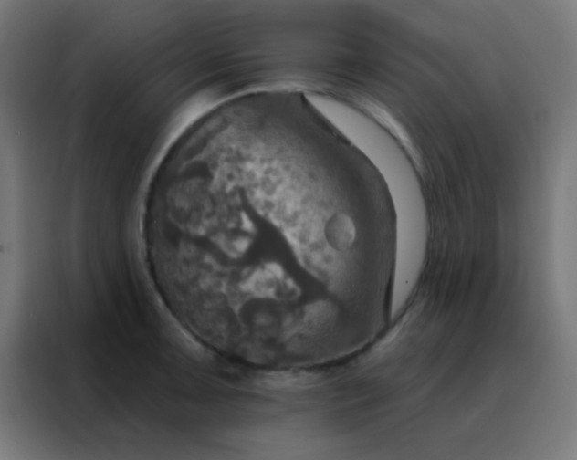 X0000088201091200705221718