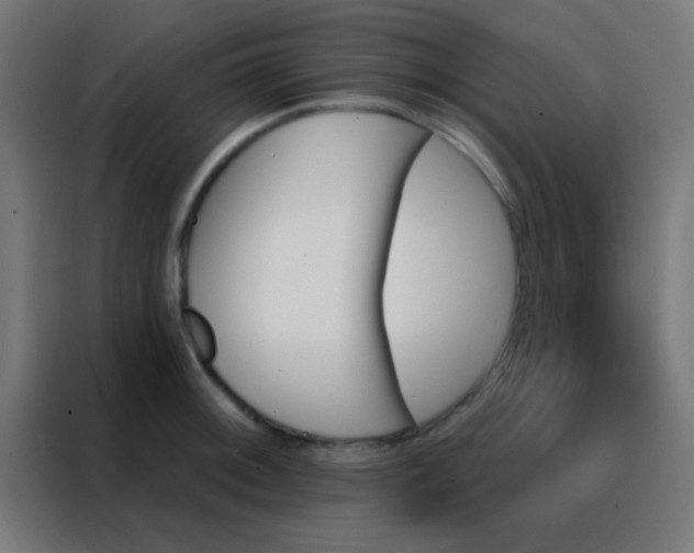 X0000088201092200705221718