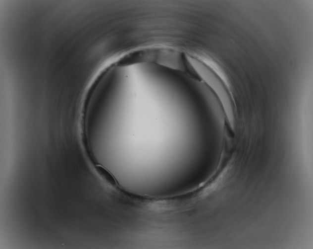 X0000088201093200705221718