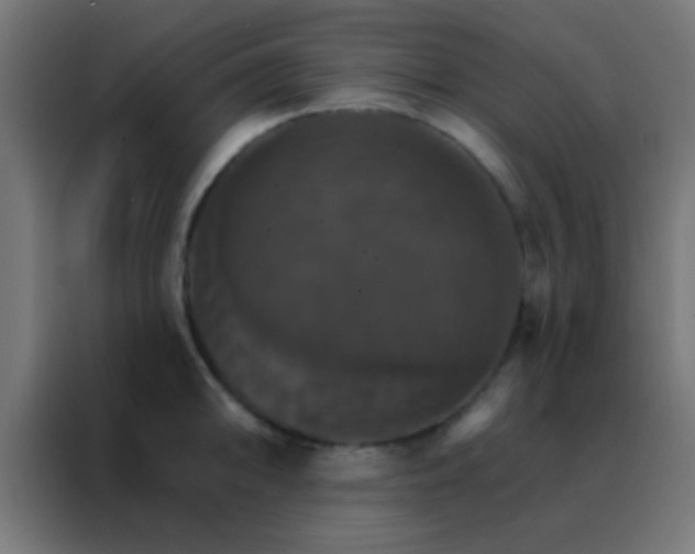 X0000088201094200705221718