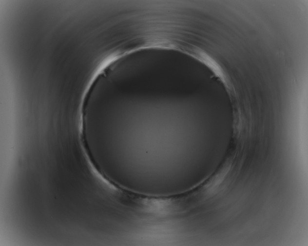 X0000088201095200705221718