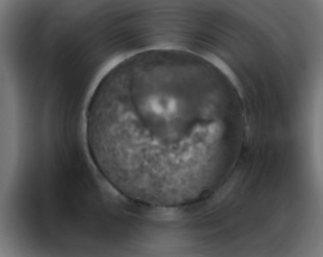 X0000088201096200705221718