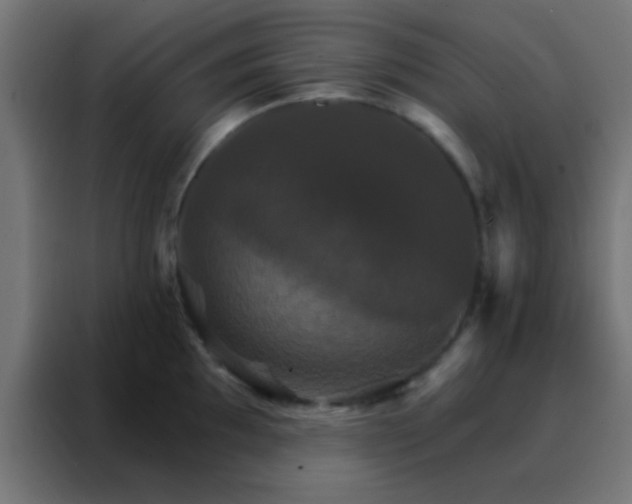 X0000088201097200705221718
