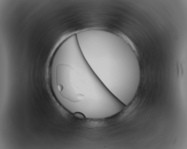 X0000088201099200705221718