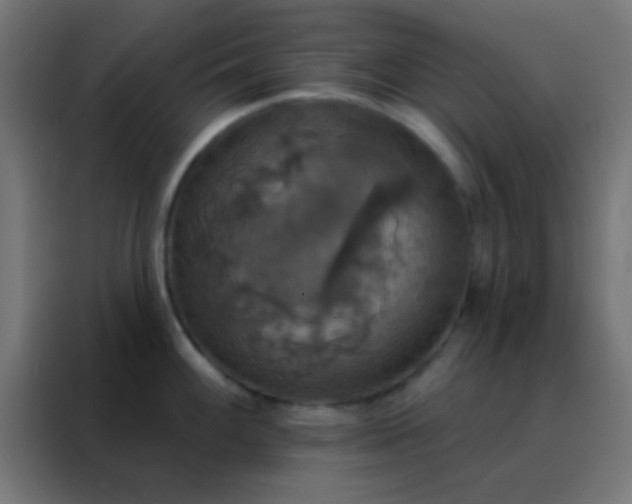 X0000088201100200705221718