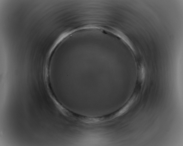 X0000088201101200705221718
