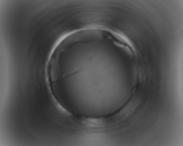 X0000088201102200705221718