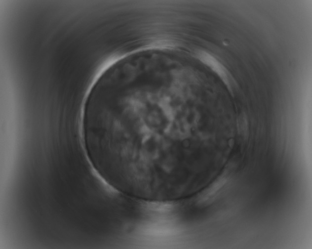 X0000088201103200705221717
