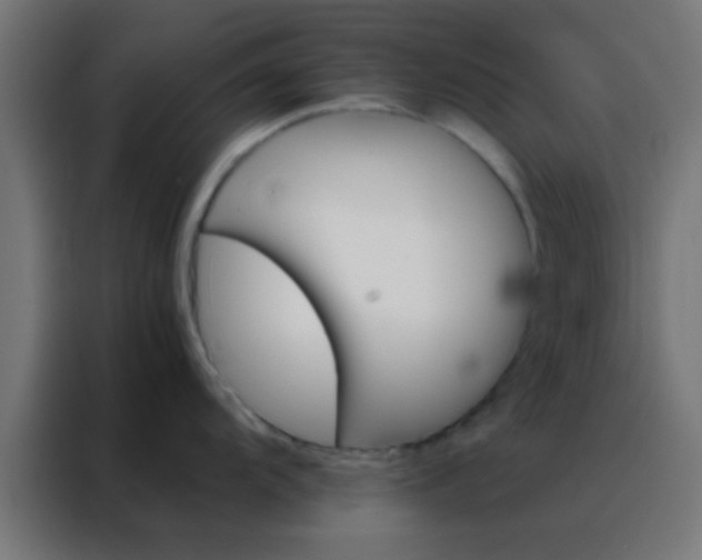X0000088201104200705221717