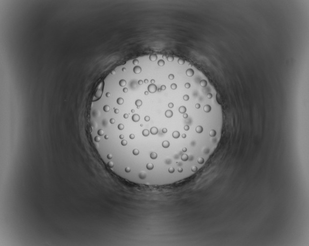 X0000088201105200705221717