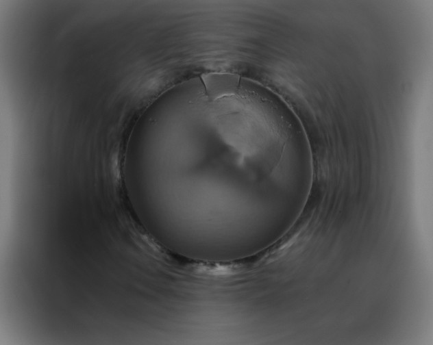 X0000088201106200705221717