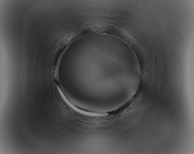 X0000088201108200705221717