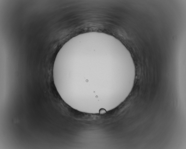 X0000088201109200705221717