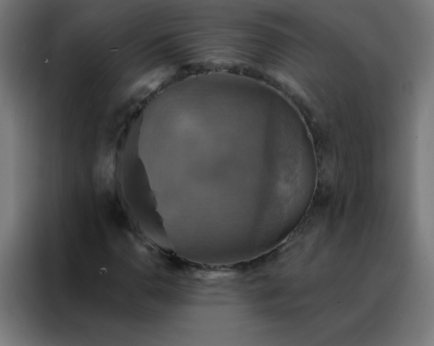 X0000088201110200705221717