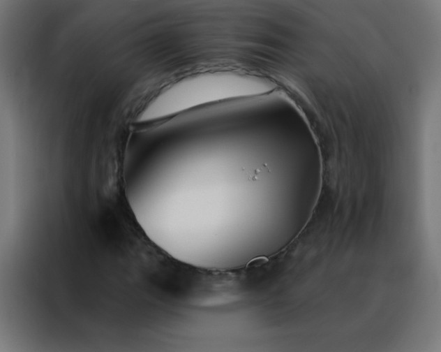 X0000088201111200705221717