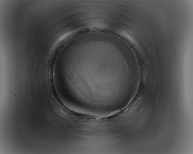 X0000088201112200705221717