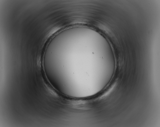 X0000088201113200705221717
