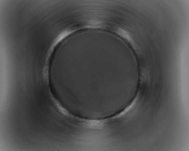 X0000088201114200705221717
