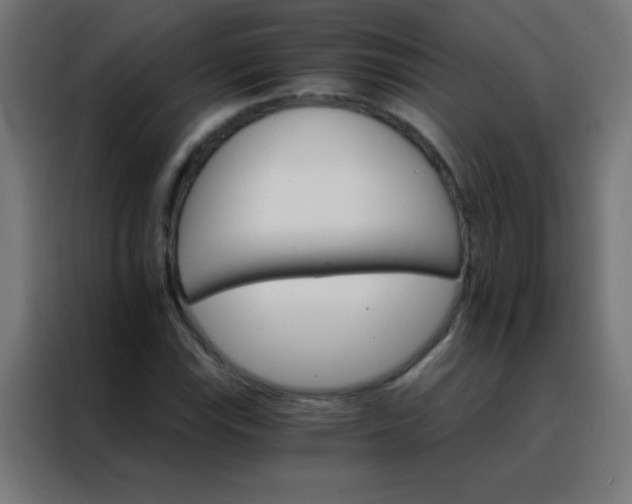 X0000088201115200705221717