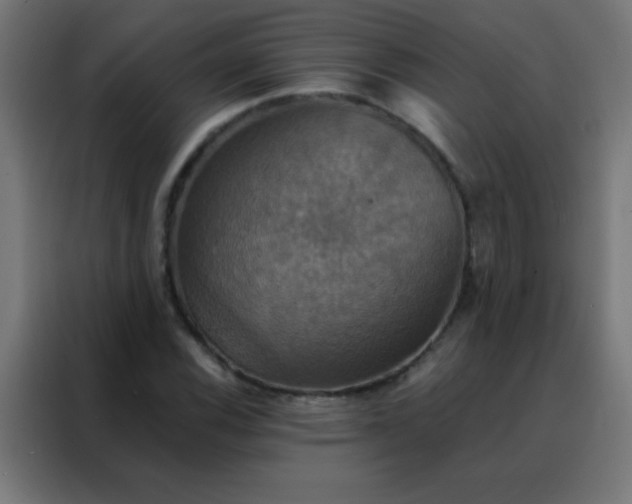 X0000088201116200705221717