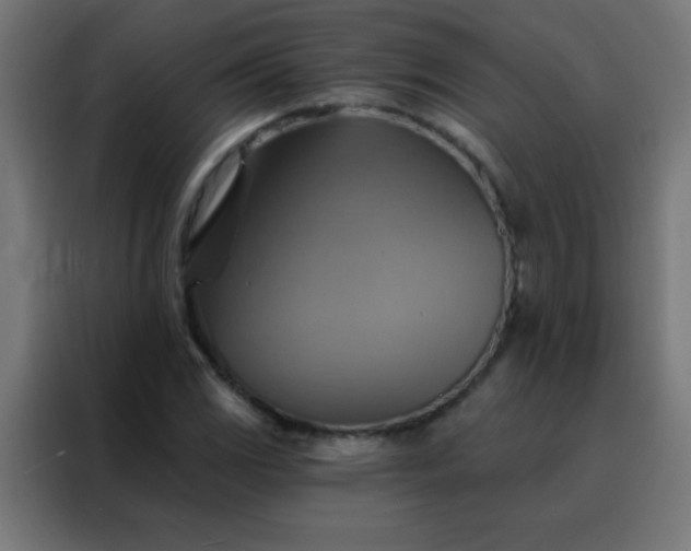 X0000088201117200705221717