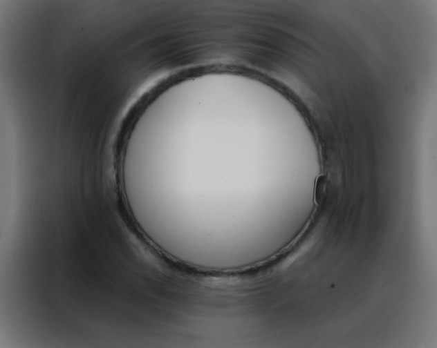 X0000088201118200705221717