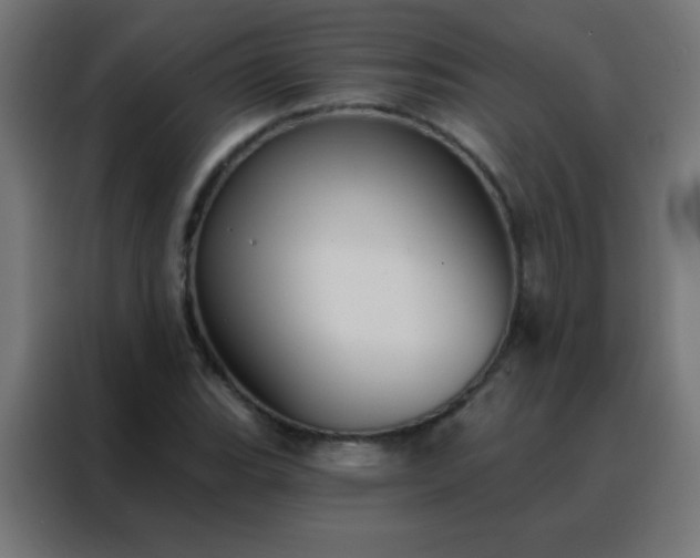 X0000088201119200705221717