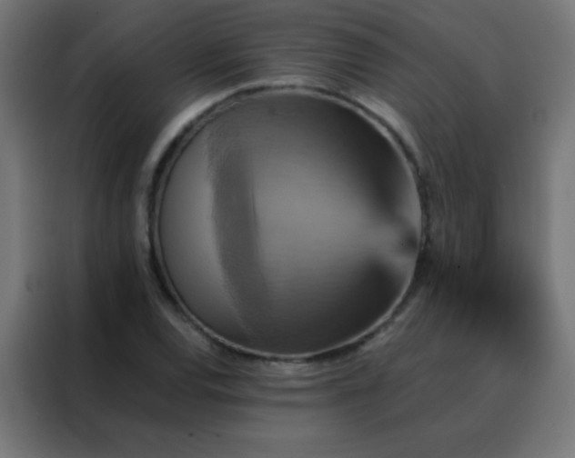 X0000088201120200705221717