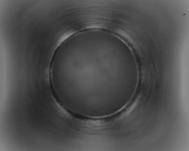X0000088201121200705221717