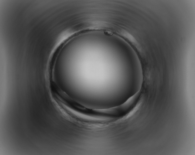 X0000088201122200705221717