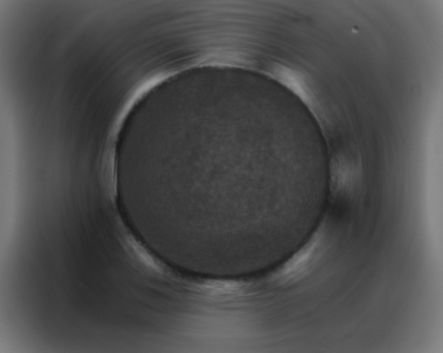 X0000088201123200705221717