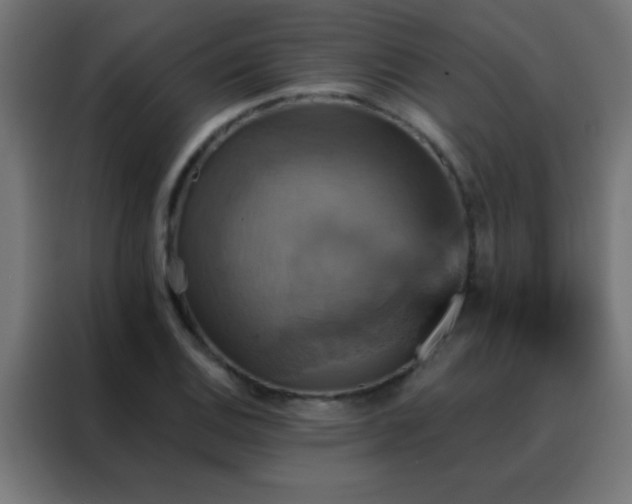 X0000088201124200705221717