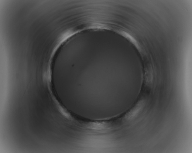 X0000088201125200705221717