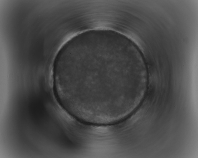 X0000088201126200705221717