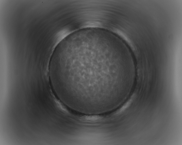 X0000088201129200705221717