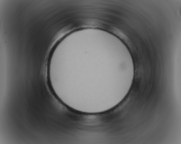 X0000088201130200705221717